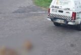 Viatura da Polícia Militar atropela dois cães e causa revolta na zona norte de Manaus
