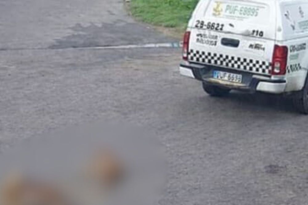 Viatura da Polícia Militar atropela dois cães e causa revolta na zona norte de Manaus