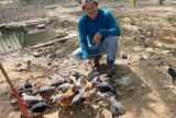 Unidade produtiva fortalece soberania alimentar em área antes degradada pelo garimpo na Terra Yanomami