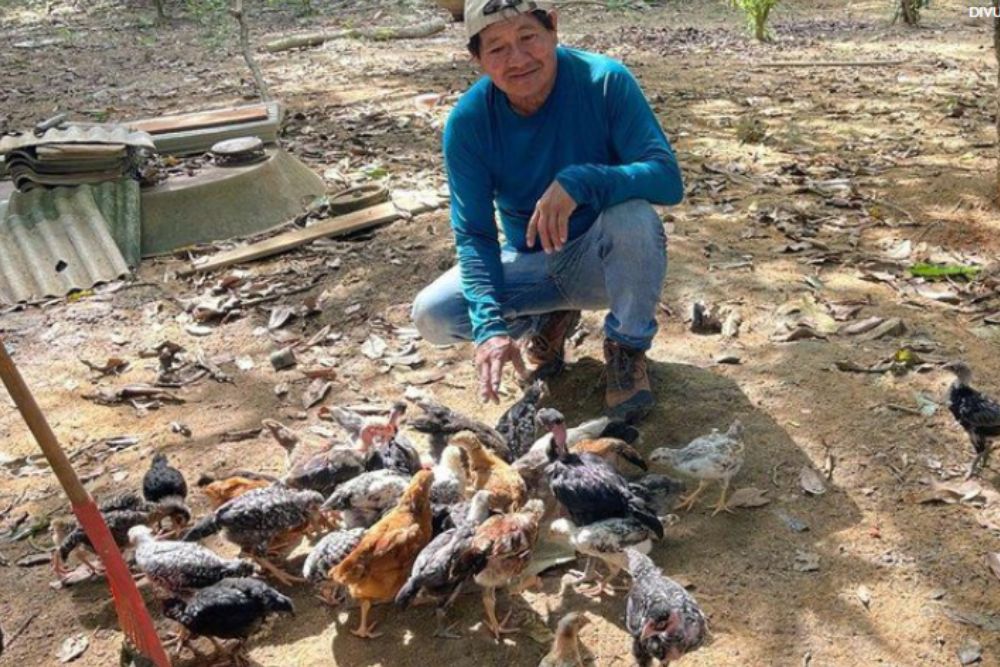 Unidade produtiva fortalece soberania alimentar em área antes degradada pelo garimpo na Terra Yanomami