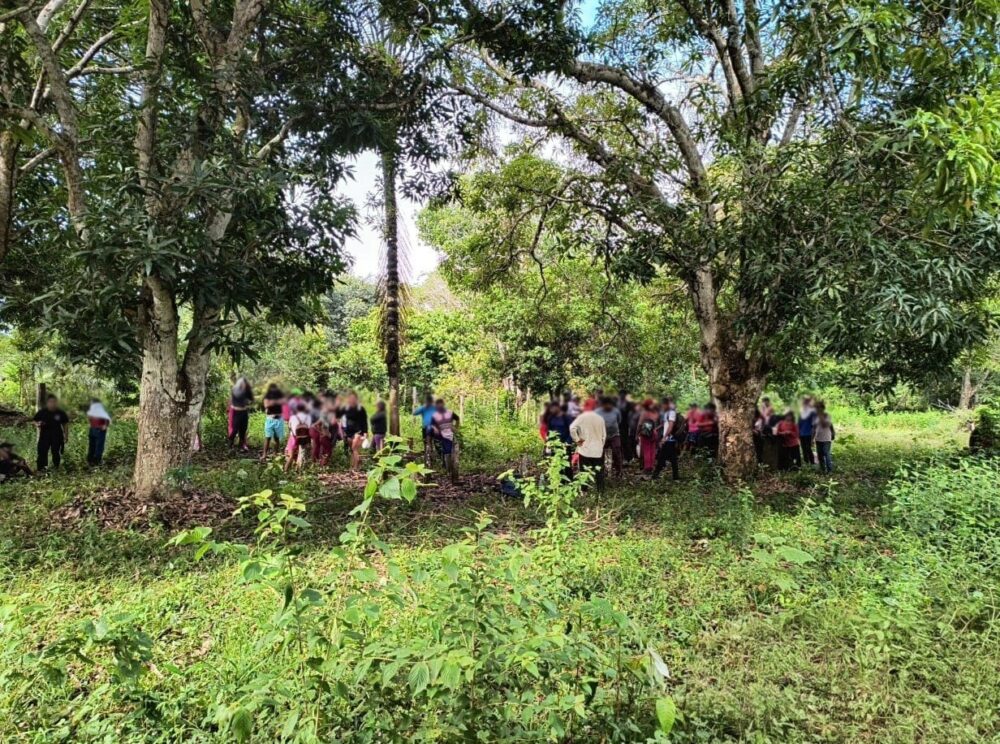 Opera&ccedil;&atilde;o ambiental desmobiliza ocupa&ccedil;&atilde;o irregular e embarga &aacute;rea desmatada em Itacoatiara
