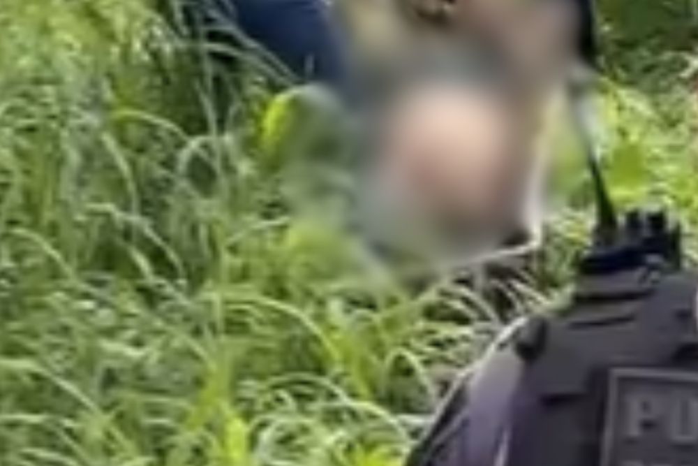 Homem é encontrado morto em área de mata no Distrito Industrial Homem é encontrado morto em área de mata no Distrito Industrial