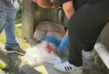 Recém-nascida é encontrada morta dentro de sacola em Manaus
