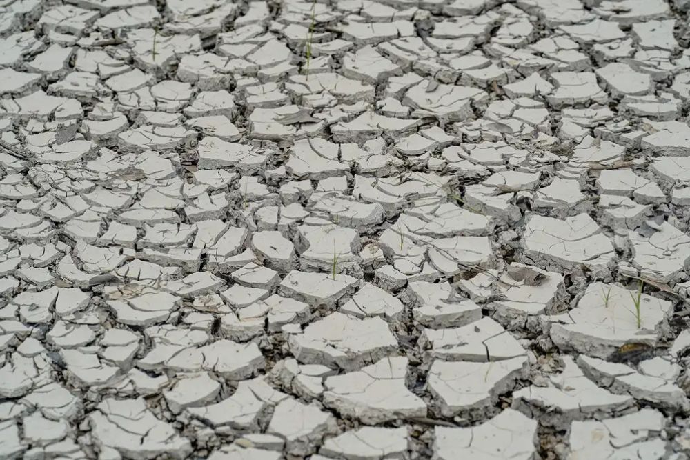 Seca e estiagem levam 15 municípios a estado de emergência