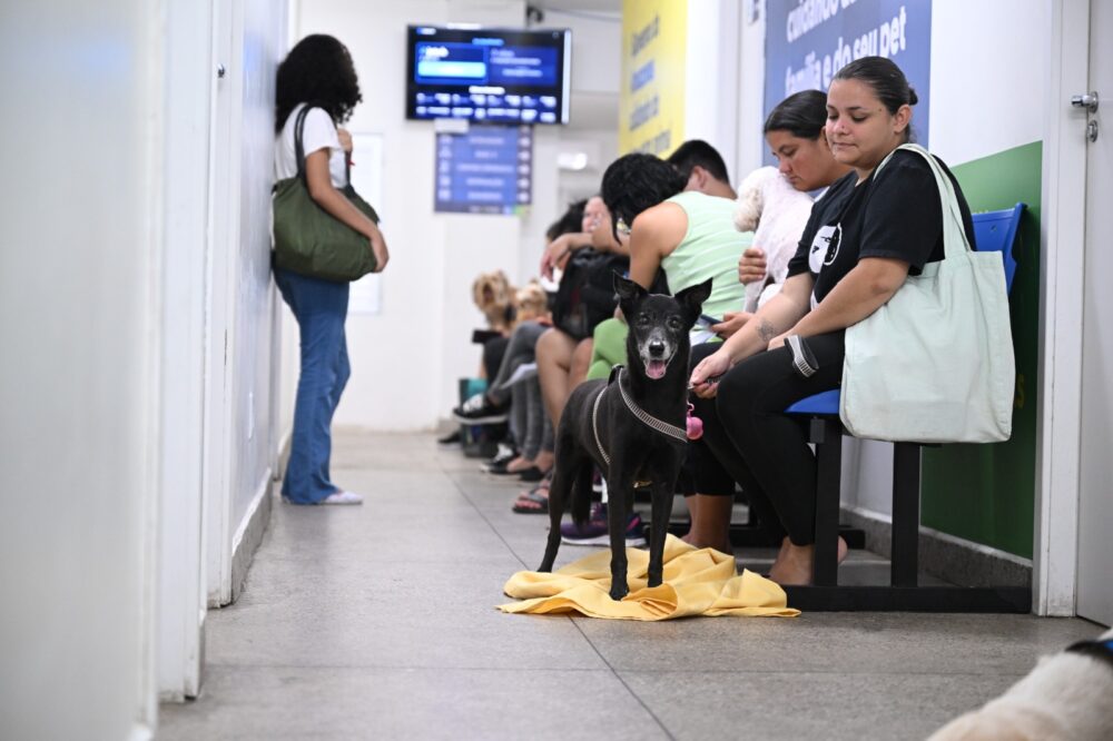Hospital P&uacute;blico Veterin&aacute;rio do Amazonas alcan&ccedil;a 26 mil atendimentos em cinco meses de funcionamento