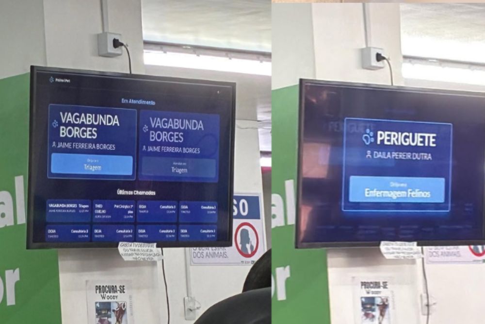 Nomes inusitados de pets atendidos em hospital veterinário do AM viralizam nas redes