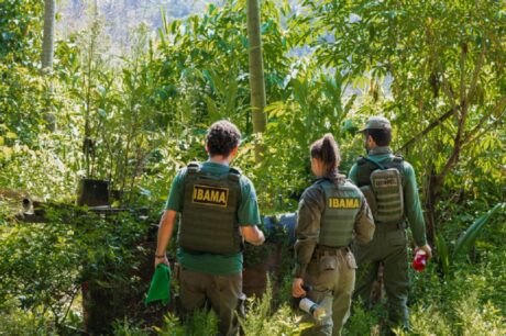 PF e Ibama desarticulam estrutura de garimpo ilegal em Terra Indígena