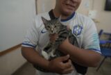 Mega Castração pretende esterilizar mais de 2 mil cães e gatos no domingo (29)