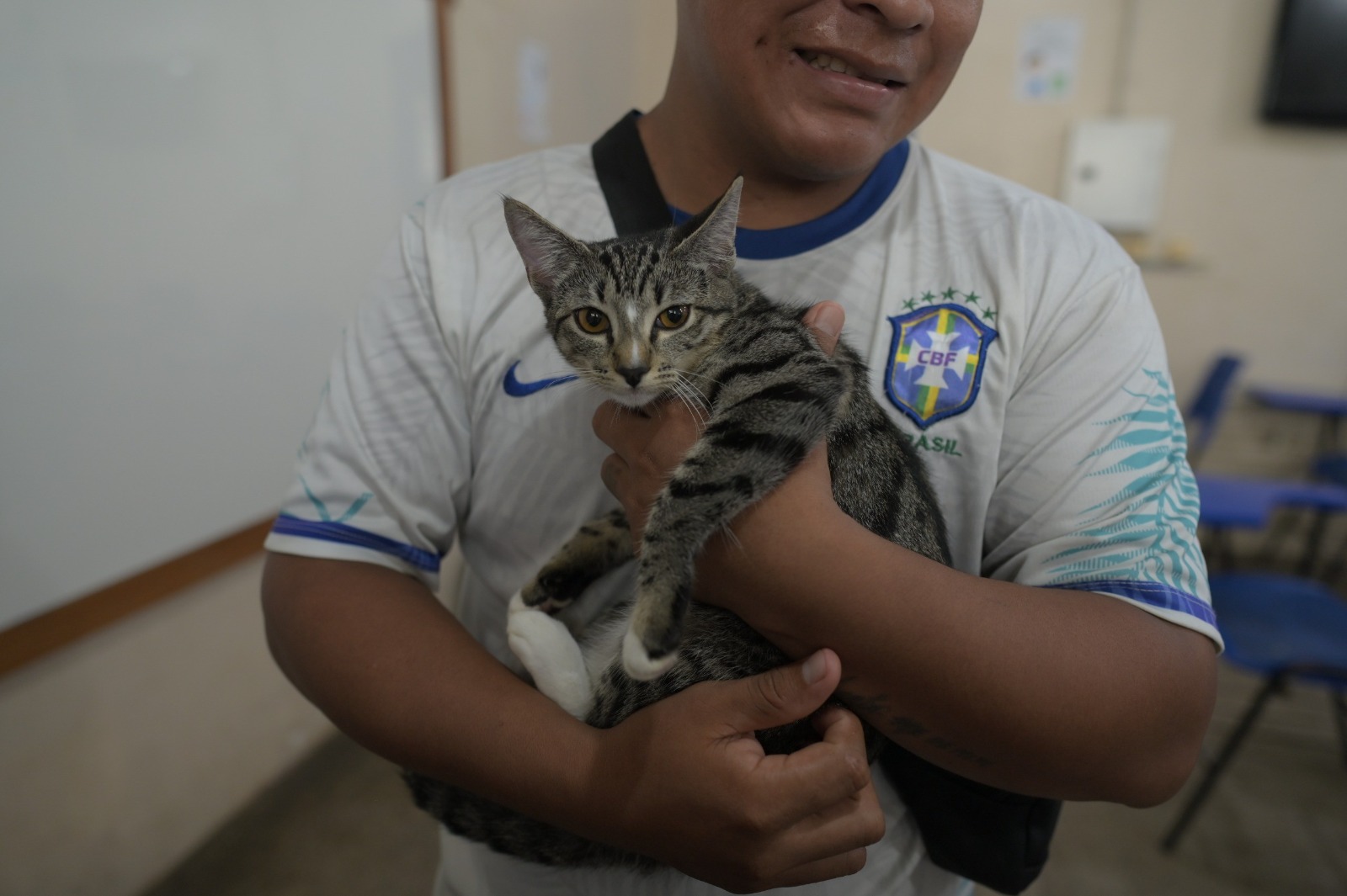 Mega Castra&ccedil;&atilde;o pretende esterilizar mais de 2 mil c&atilde;es e gatos no domingo (29)
