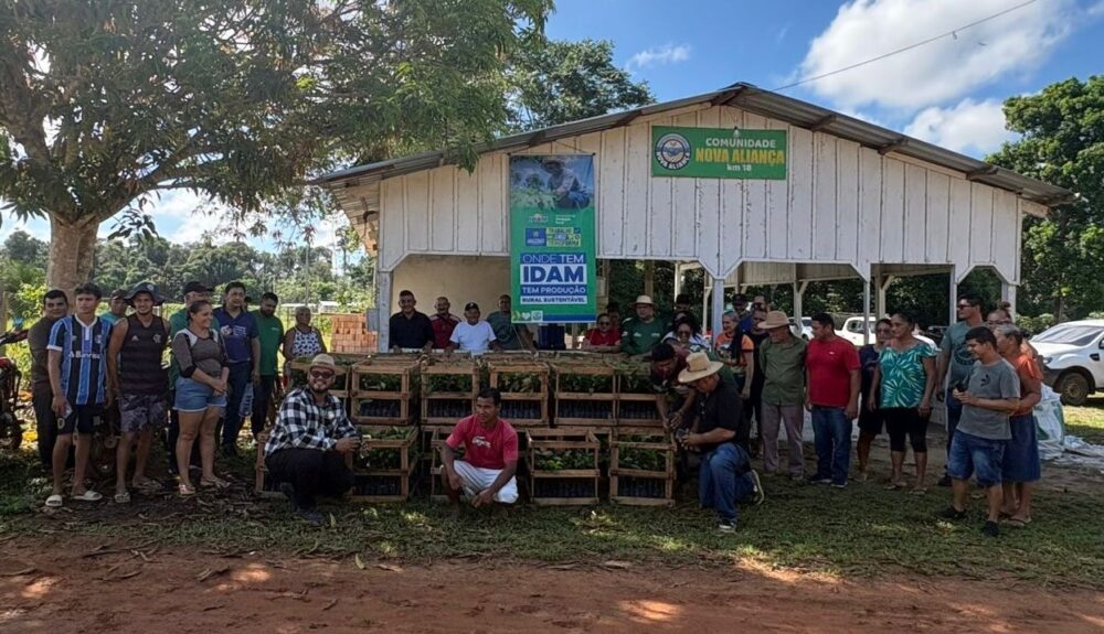 Em Iranduba e Manacapuru, Idam distribui 6,1 mil mudas de castanheira a agricultores familiares
