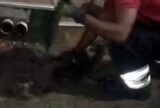 Vídeo mostra sucuri capturada em frente a residência no bairro Planalto, em Manaus