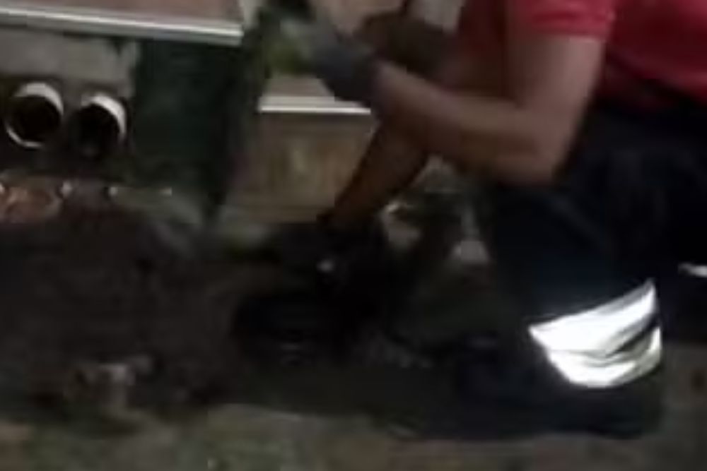 Vídeo mostra sucuri capturada em frente a residência no bairro Planalto, em Manaus