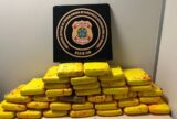 PF apreende 37 kg de skunk no aeroporto de Manaus