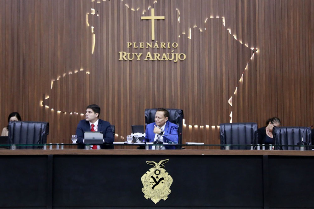 Elei&ccedil;&atilde;o indireta
