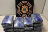 Polícia Federal prende homem com 16,5 kg de maconha no Aeroporto Eduardo Gomes