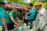 Parintins e UFAM promovem educação ambiental com meliponicultura
