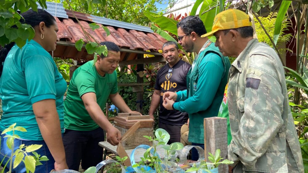 Parintins e UFAM promovem educa&ccedil;&atilde;o ambiental com meliponicultura