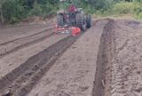 Parintins apoia produtor de hortaliças na Vila Amazônia