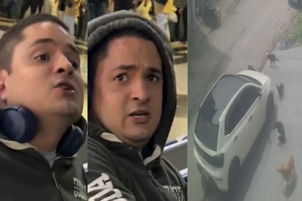 Motorista suspeito de atropelar cães é detido no aeroporto ao tentar sair de Manaus
