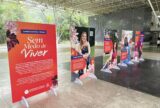 Exposição da Defensoria Pública incentiva mulheres vítimas de violência a buscar ajuda