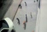 Cães atropelados recebem cuidados em Manaus; um morre e três ficam feridos