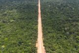 Concessão florestal na BR-319 impulsiona bioeconomia e amplia proteção ambiental no Amazonas