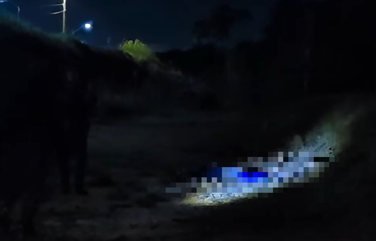 Cadáver com perfurações na cabeça é localizado às margens da BR-174 Cadáver com perfurações na cabeça é localizado às margens da BR-174
