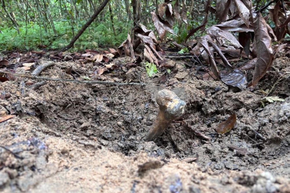 Ossada achada em área de mata em Iranduba pode ser de jovem desaparecido