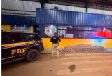 Polícia Rodoviária Federal intercepta mais de 270 kg de drogas