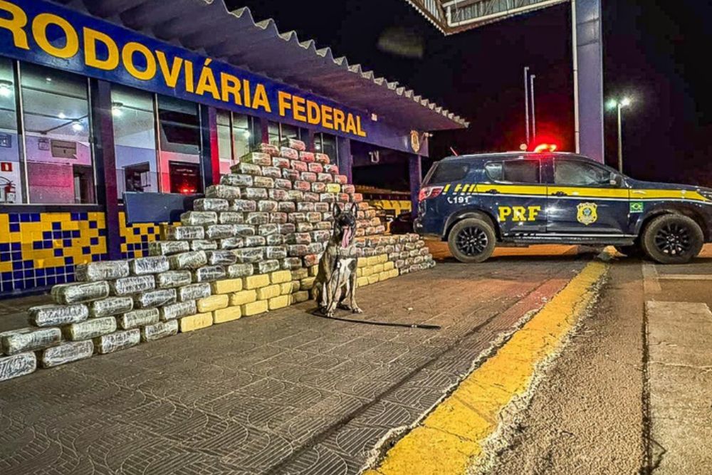 PRF apreende mais de meia tonelada de skunk escondida em caminhão na BR-364
