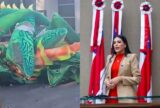 Mayra Dias repudia destruição de alegorias do Tupi