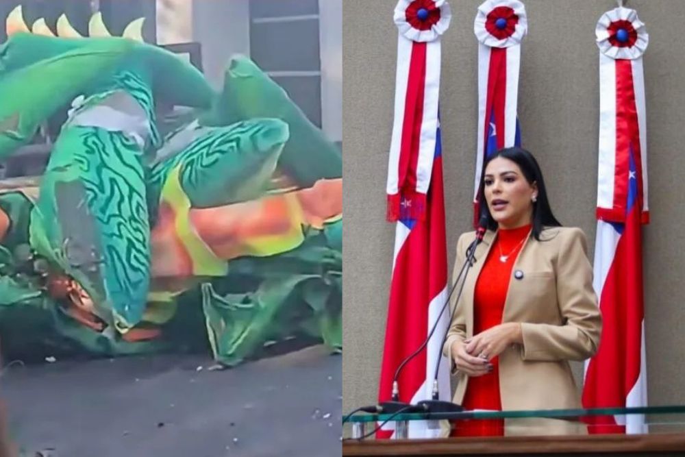Mayra Dias repudia destruição de alegorias do Tupi