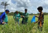 Parintins amplia mecanização agrícola na zona rural
