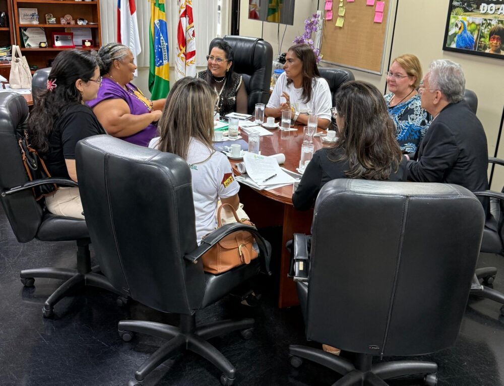 MP e rede de prote&ccedil;&atilde;o debatem pol&iacute;ticas para crian&ccedil;as e adolescentes no Amazonas