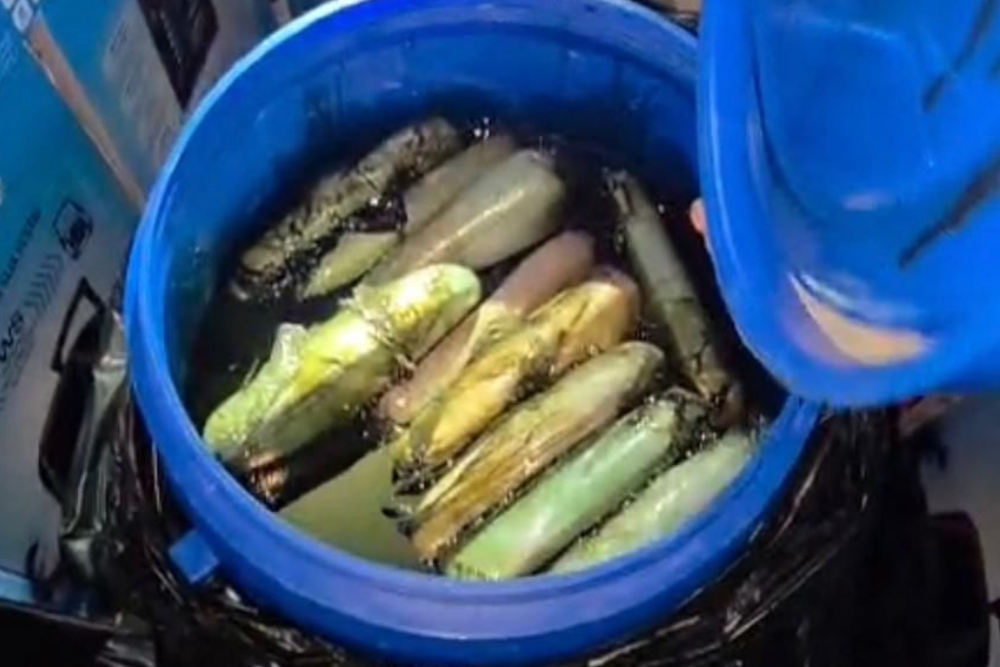 Carga com quase 400 kg de drogas é apreendida em Manaus