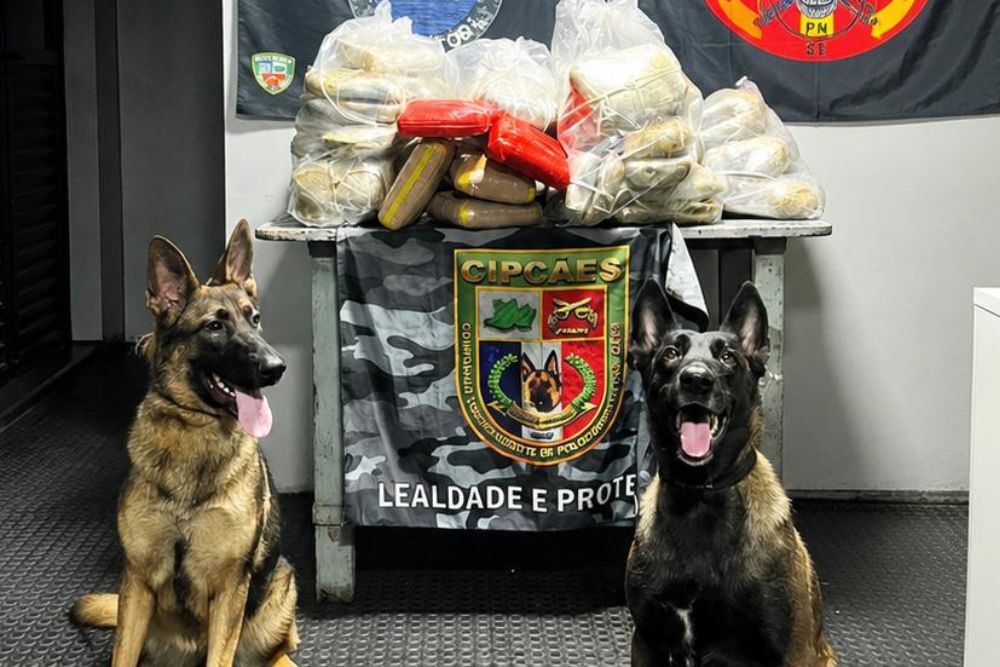 Mais de 90 quilos de entorpecentes são apreendidos em embarcação no rio Solimões