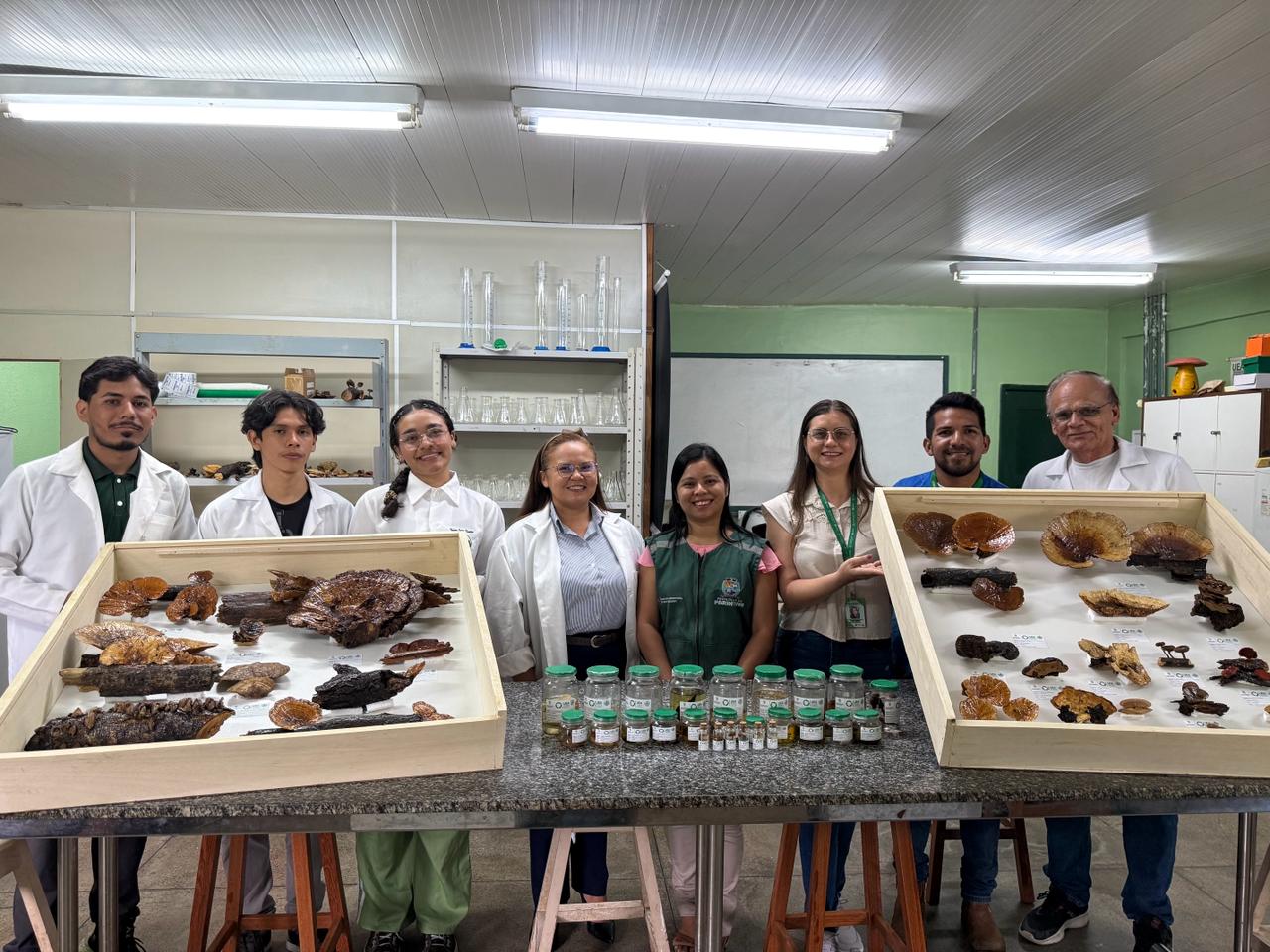 Parintins recebe coleção didática de fungos da UEA