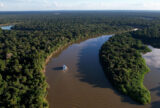 Desmatamento na Amazônia cai 61,4% em maio de 2026