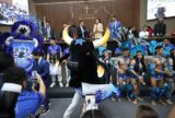 Aleam homenageia Festival de Parintins e sua cadeia cultural