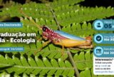 Inpa abre processo seletivo com 5 vagas para Doutorado em Biologia – Ecologia