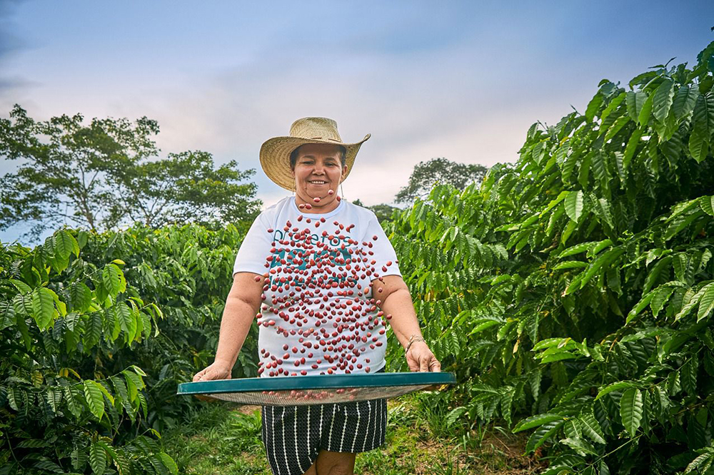 Eneva celebra o Dia Mundial do Meio Ambiente com avanços na bioeconomia e conservação da Amazônia em Silves e Itapiranga Eneva celebra o Dia Mundial do Meio Ambiente com avanços na bioeconomia e conservação da Amazônia em Silves e Itapiranga