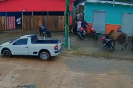 Boi à solta causa tumulto e derruba moto em rua de município do Amazonas