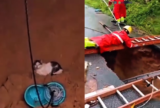 Gato é retirado de cratera por bombeiros após temporal em bairro de Manaus