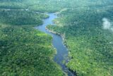 Área desmatada no Amazonas cai 57% nos cinco primeiros meses de 2026, apontam dados do Inpe