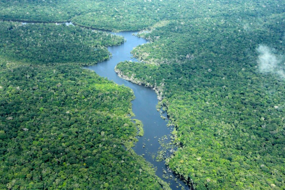 Brasil registra queda de 31% na área queimada em 2025, aponta relatório Brasil registra queda de 31% na área queimada em 2025, aponta relatório