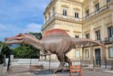 Museu Nacional ganha réplica de dinossauro brasileiro com 15 metros