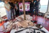 Operação apreende drogas, armas e grande carga de pescado e carne de caça ilegal em Codajás