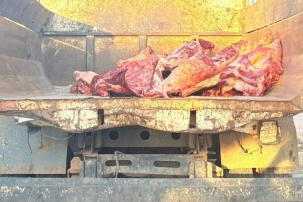 Fiscaliza&ccedil;&atilde;o apreende tr&ecirc;s toneladas de carne em transporte irregular no interior do AM