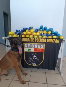 Cão policial ajuda forças de segurança do AM a apreender 21 kg de pasta-base de cocaína