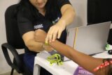 Parintins 2026: Crianças com menos de 10 anos ficam proibidas nas arquibancadas das Galeras